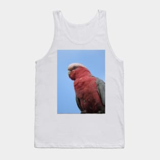 Galah Tank Top